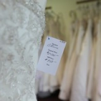 allure allure • <a style="font-size:0.8em;" href="http://www.flickr.com/photos/65984815@N04/9510834723/" target="_blank">View on Flickr</a>