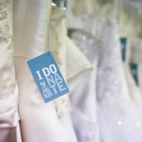 idonate idonate • <a style="font-size:0.8em;" href="http://www.flickr.com/photos/65984815@N04/9510835101/" target="_blank">View on Flickr</a>